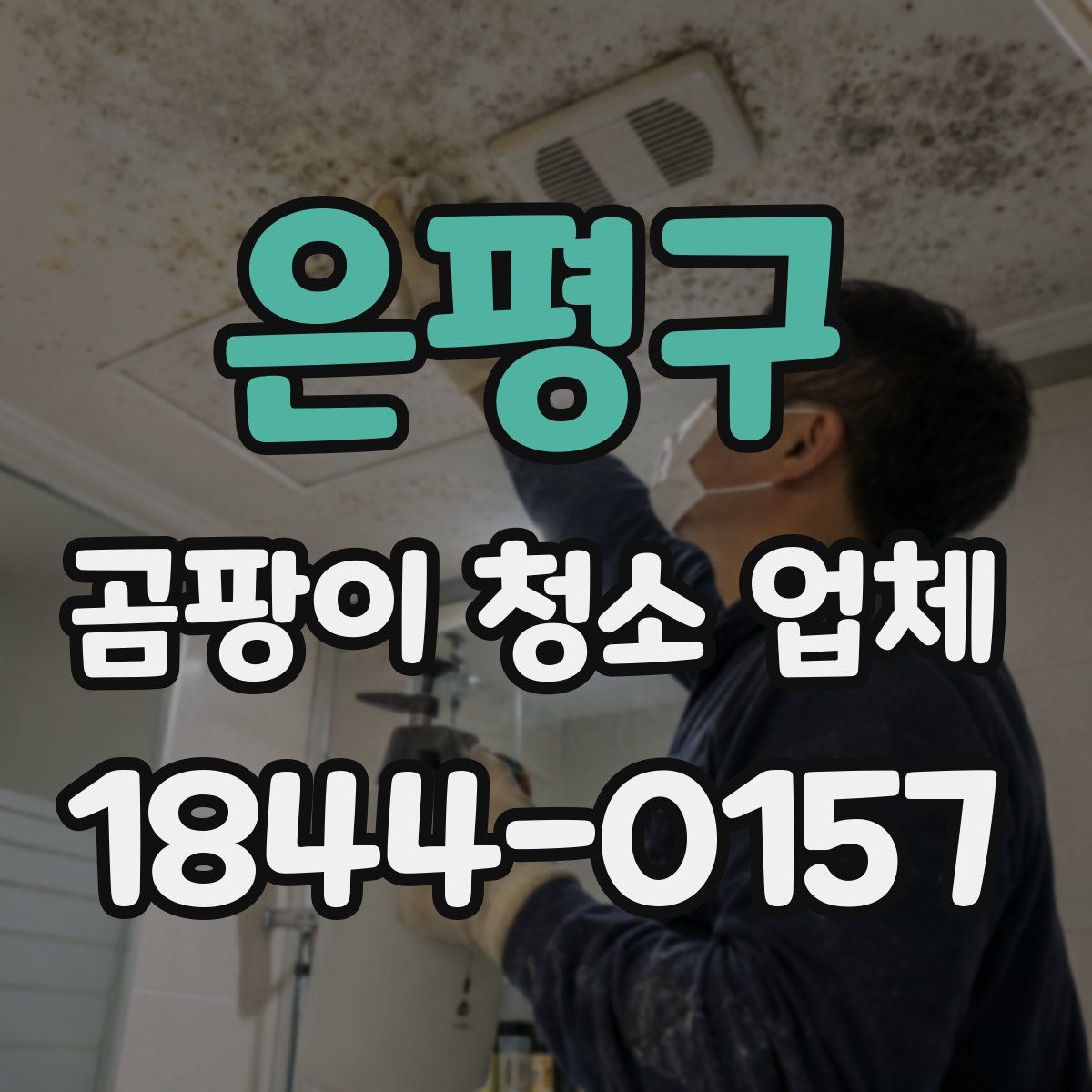 은평구 곰팡이 청소 업체