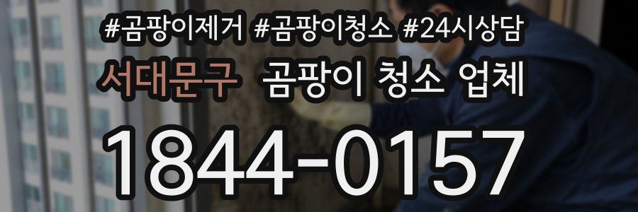 서대문구 곰팡이 청소 업체