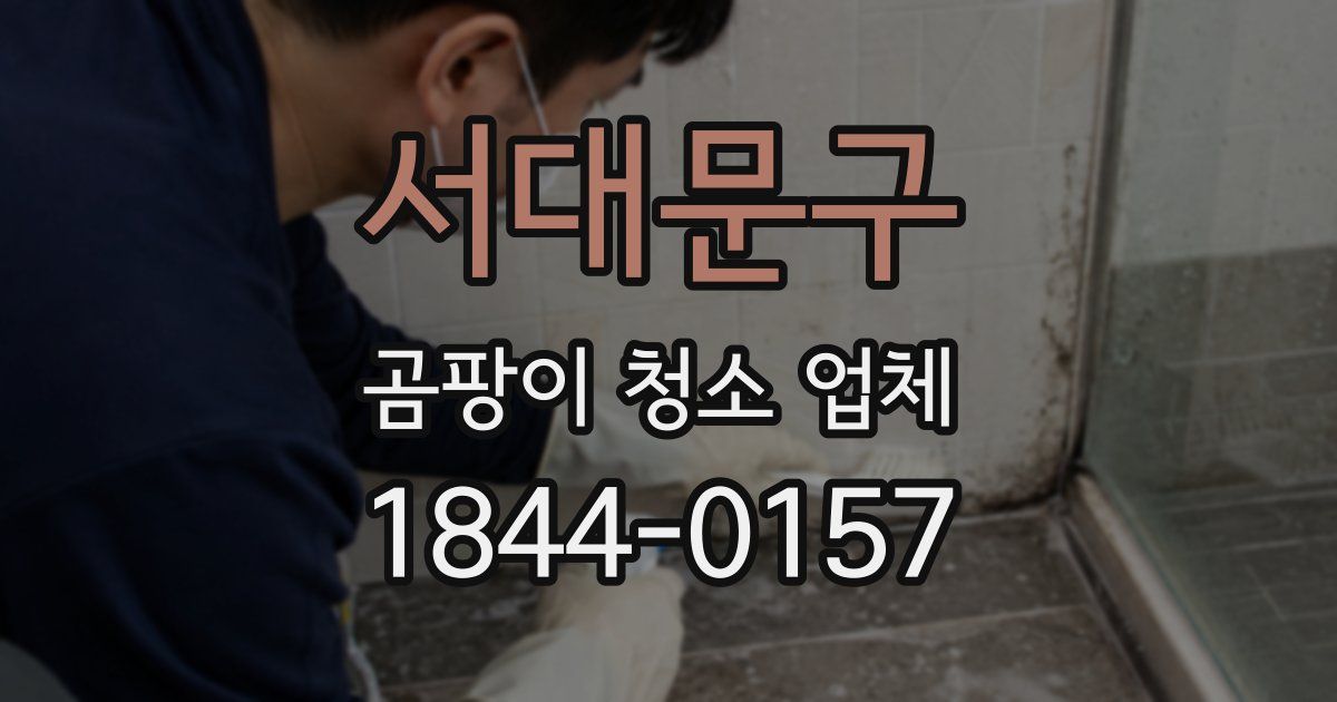 서대문구 곰팡이 청소 업체