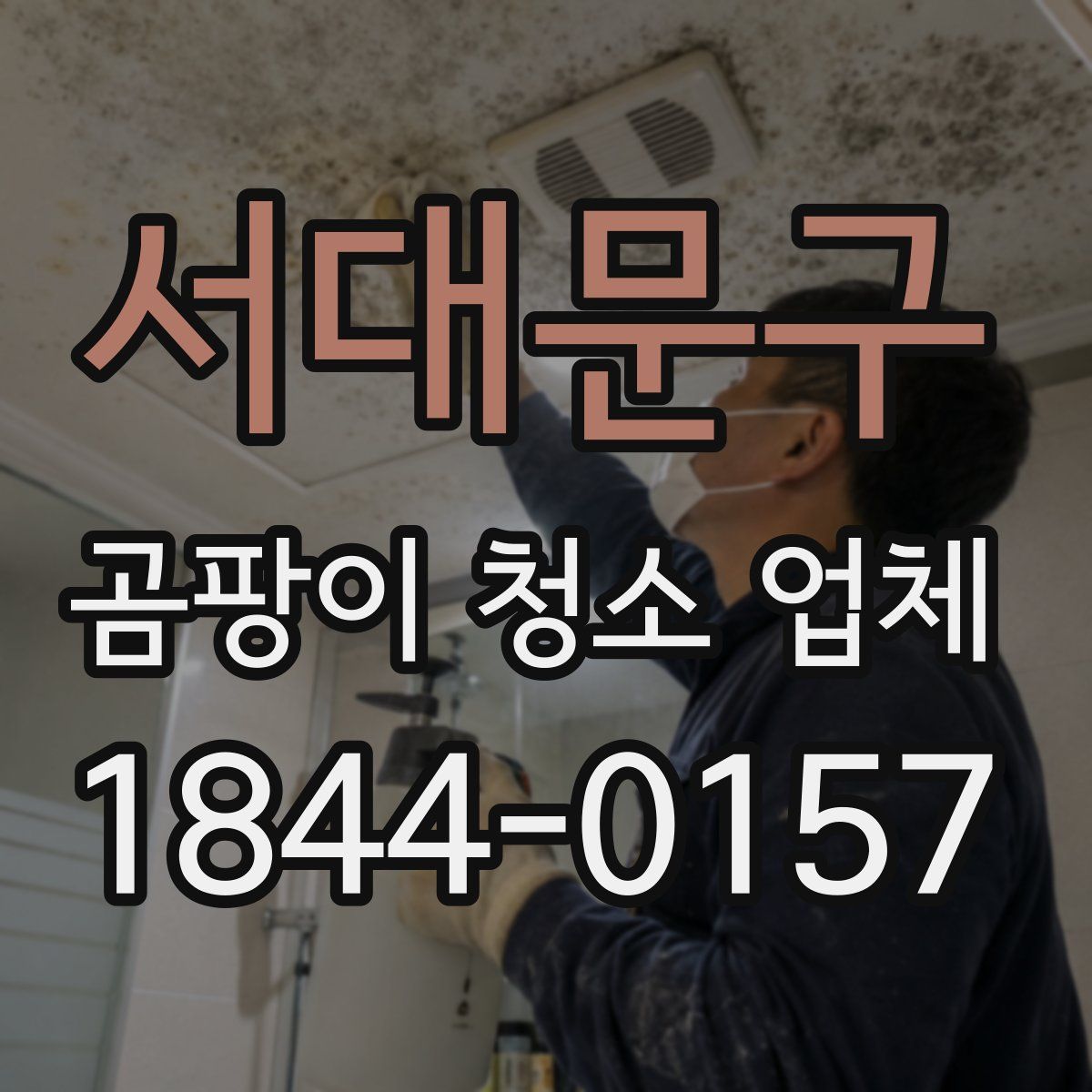 서대문구 곰팡이 청소 업체