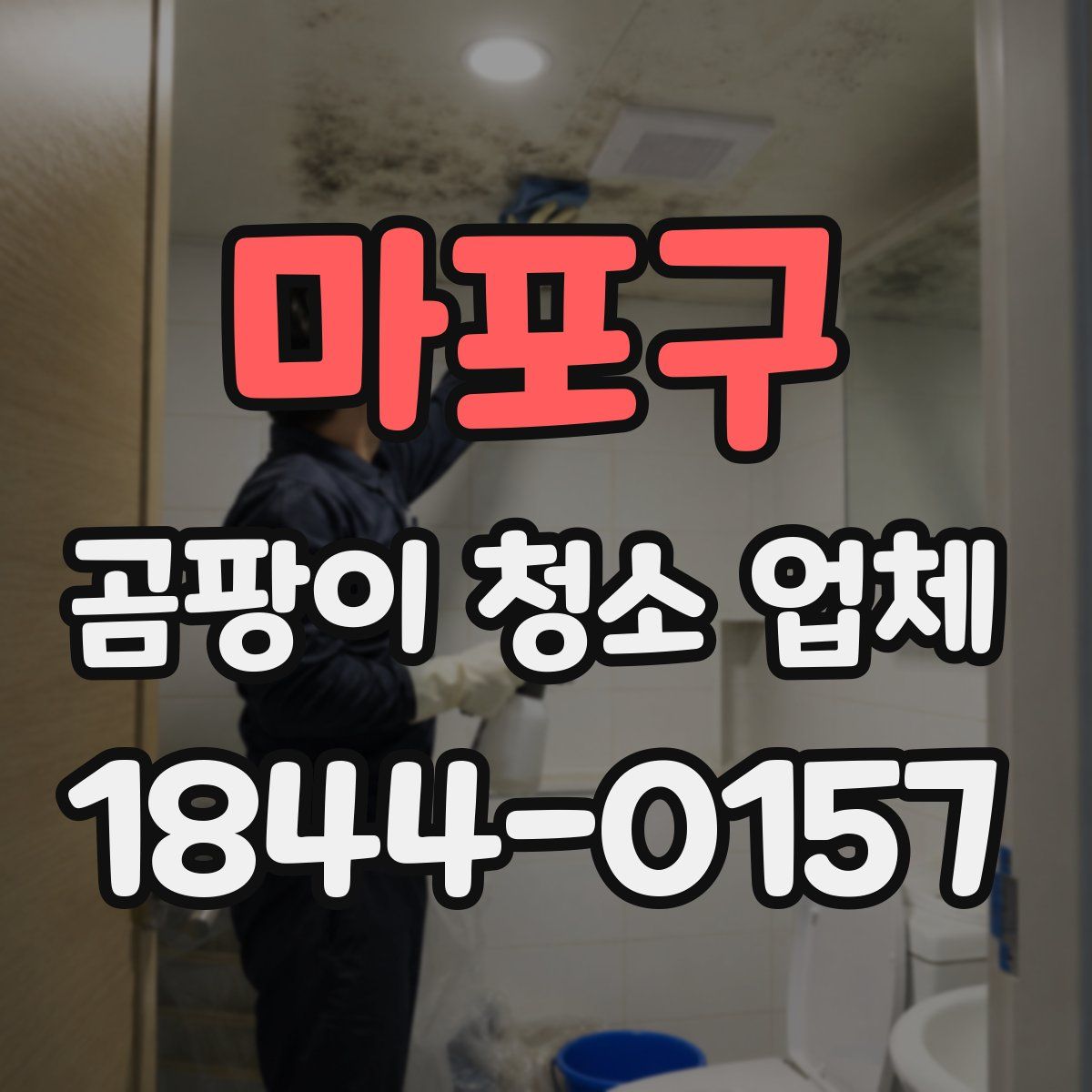 마포구 곰팡이 청소 업체