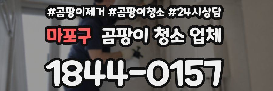 마포구 곰팡이 청소 업체