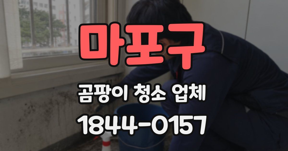마포구 곰팡이 청소 업체