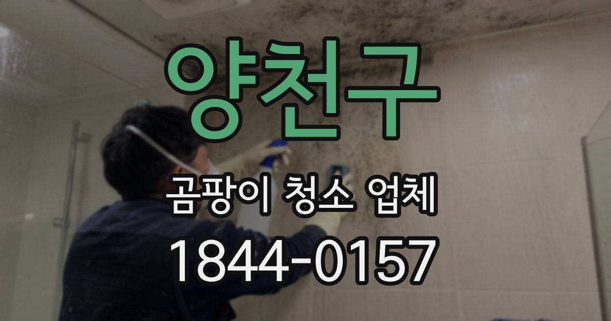 양천구 곰팡이 청소 업체