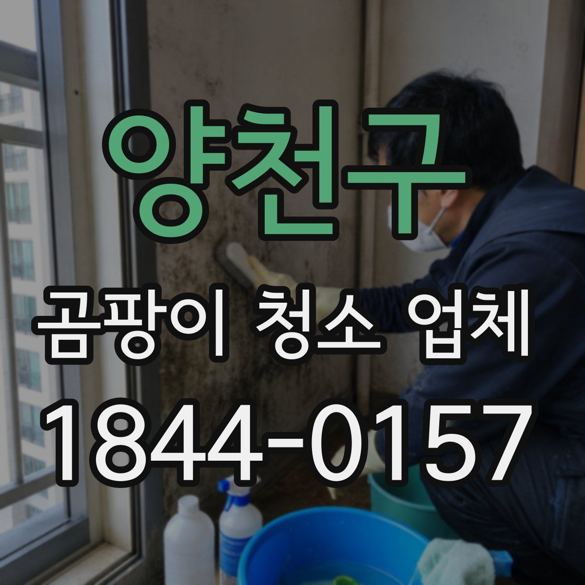 양천구 곰팡이 청소 업체
