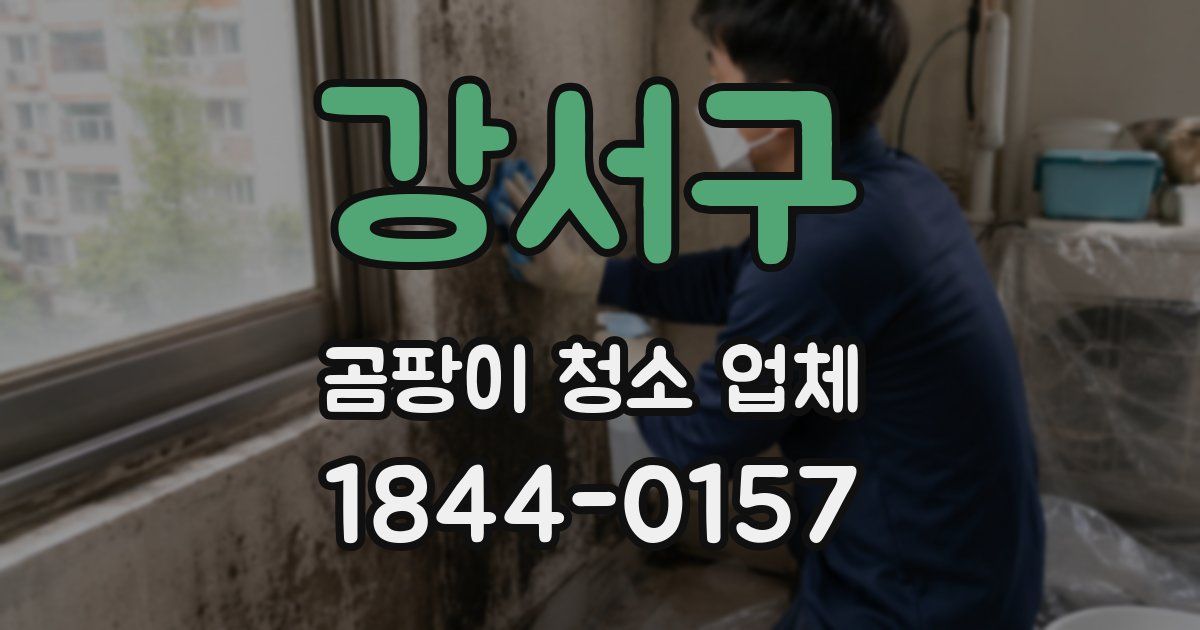 강서구 곰팡이 청소 업체