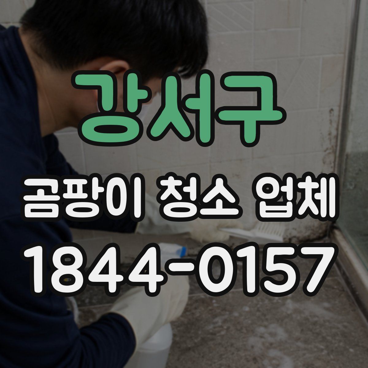 강서구 곰팡이 청소 업체