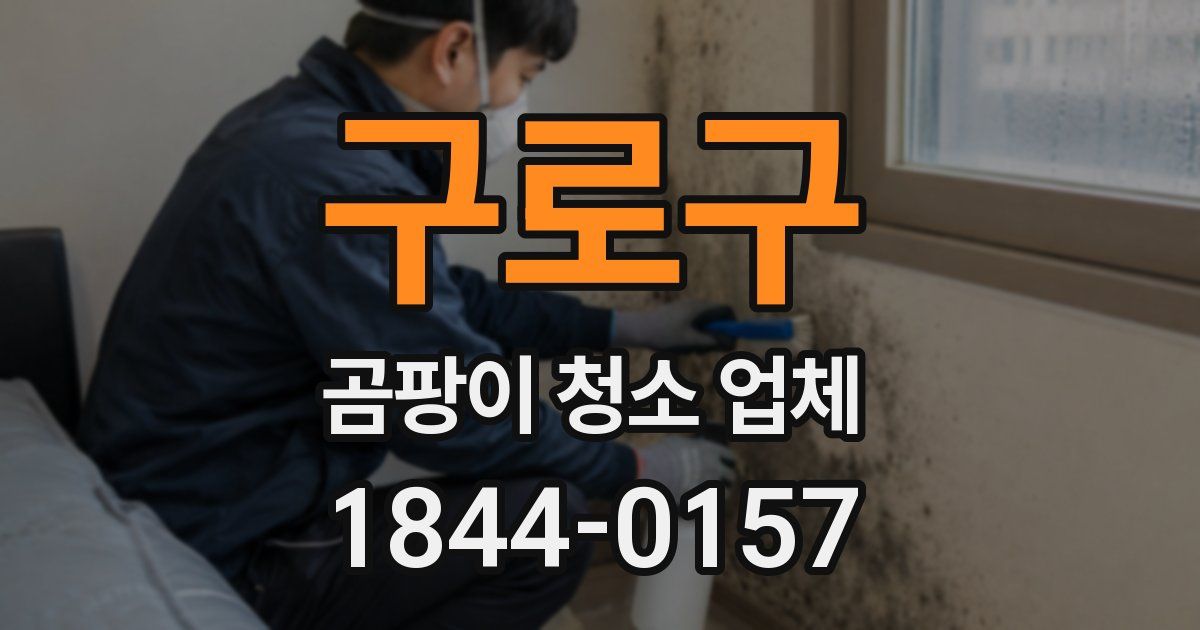 구로구 곰팡이 청소 업체
