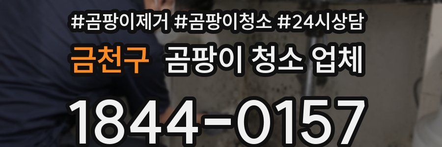 금천구 곰팡이 청소 업체