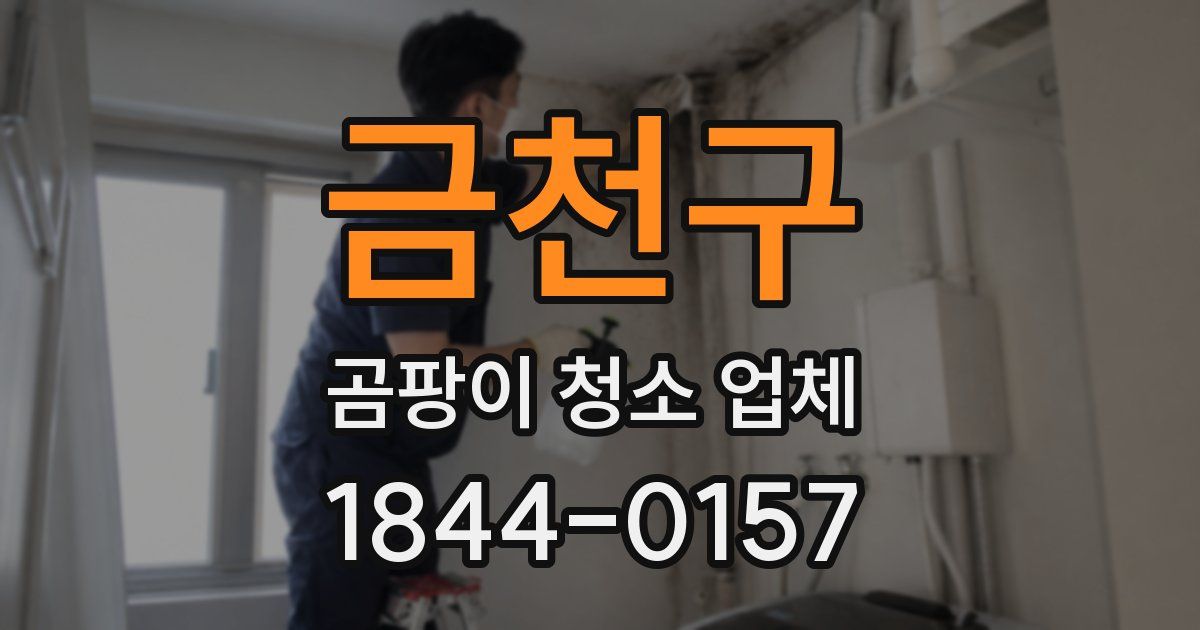 금천구 곰팡이 청소 업체