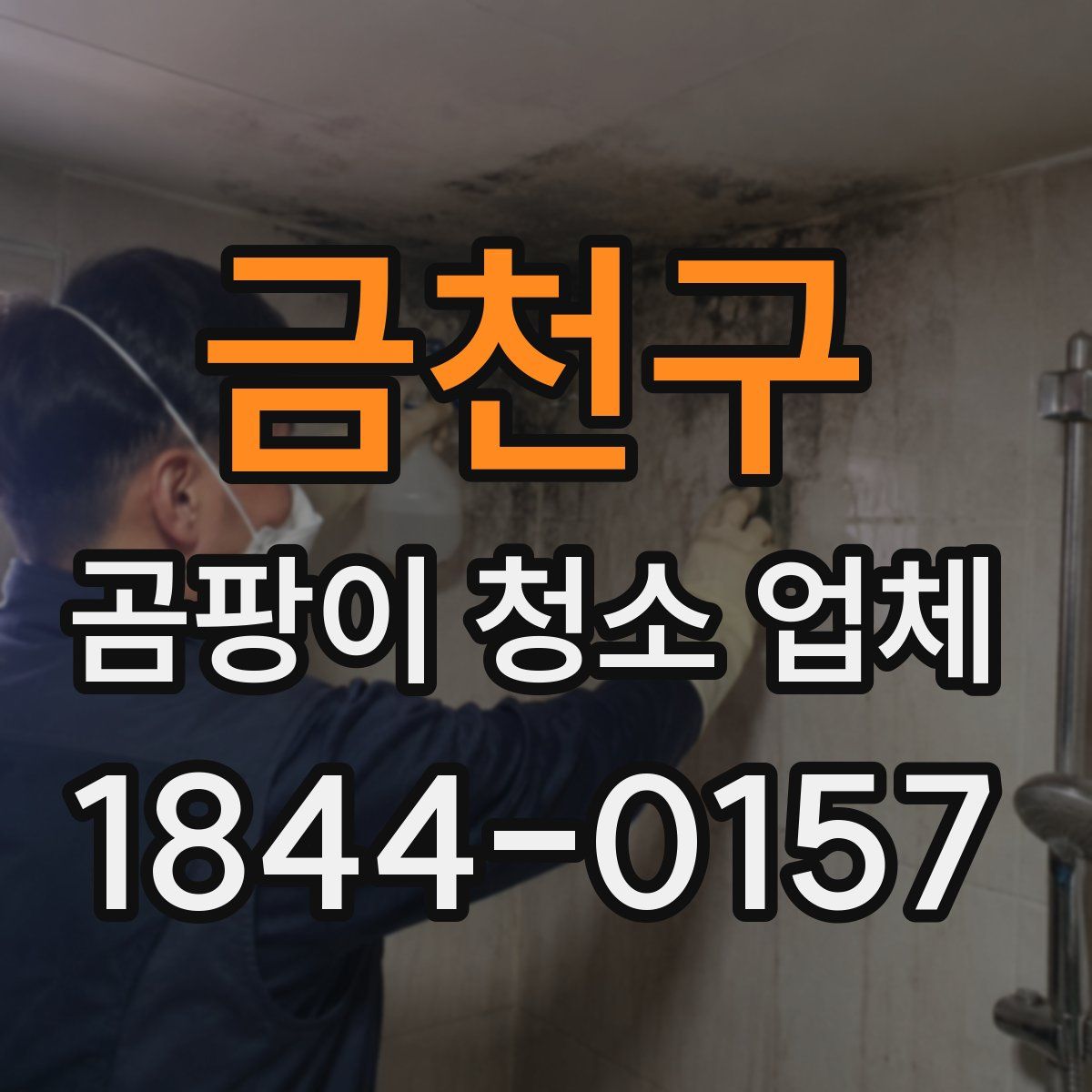 금천구 곰팡이 청소 업체