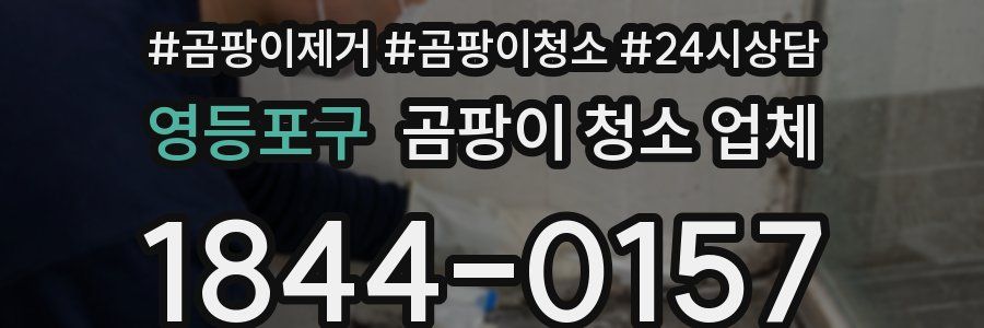 영등포구 곰팡이 청소 업체
