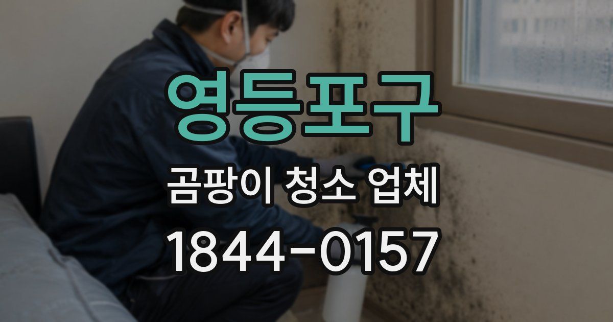 영등포구 곰팡이 청소 업체