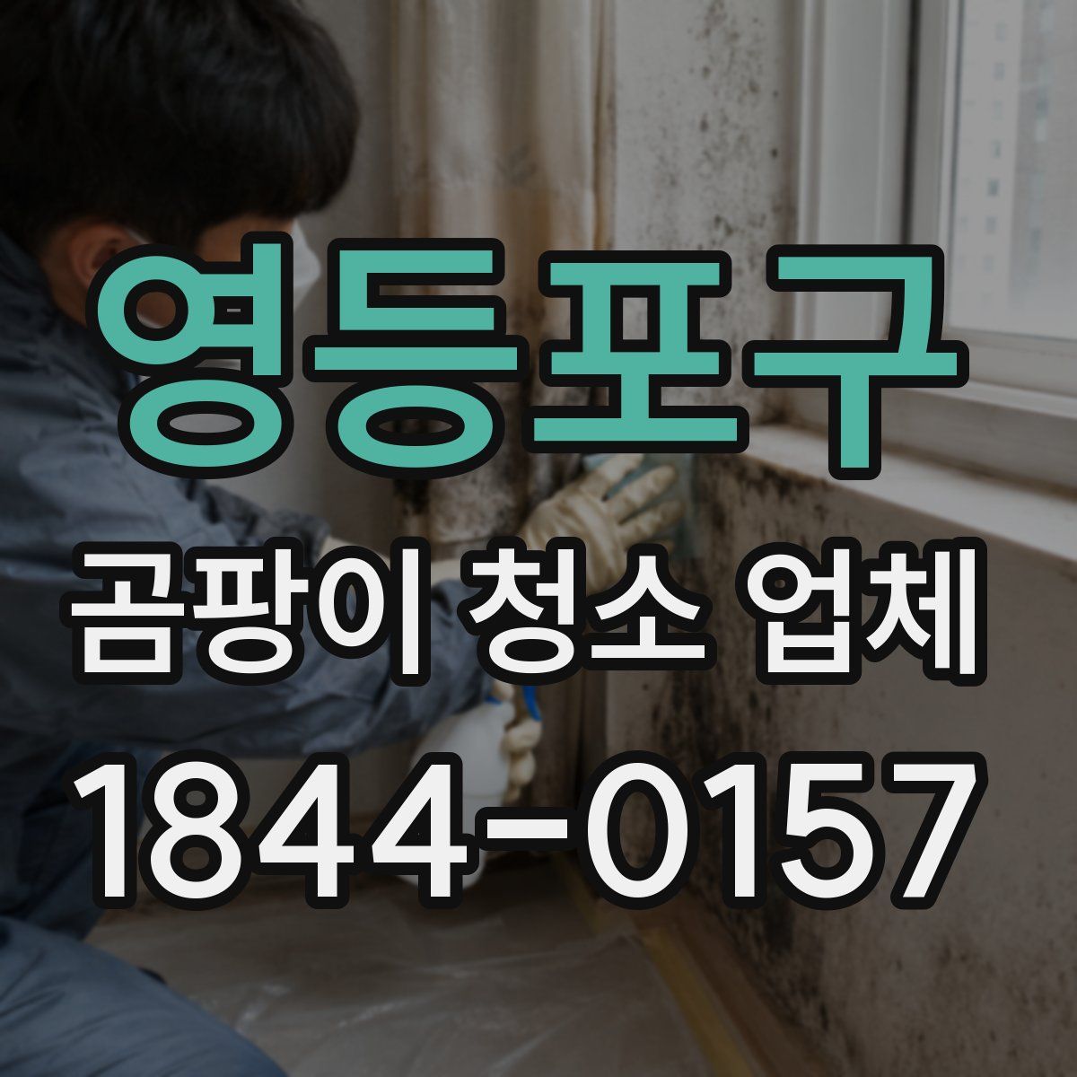 영등포구 곰팡이 청소 업체
