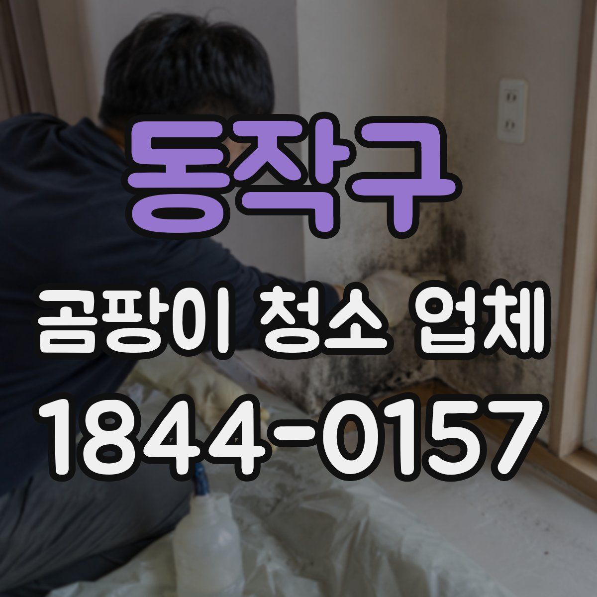 동작구 곰팡이 청소 업체