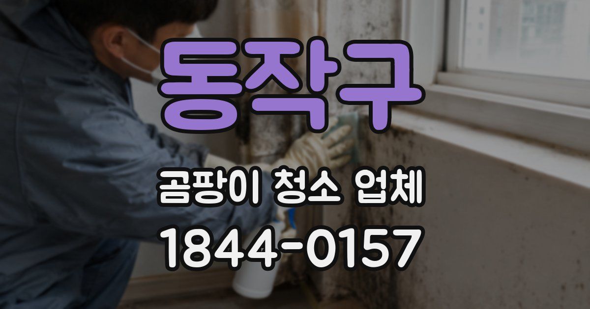 동작구 곰팡이 청소 업체