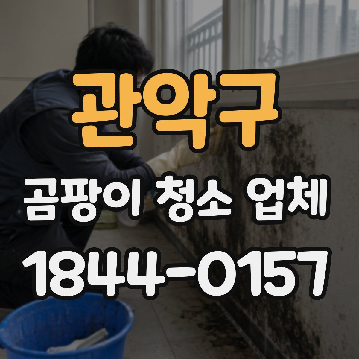 관악구 곰팡이 청소 업체