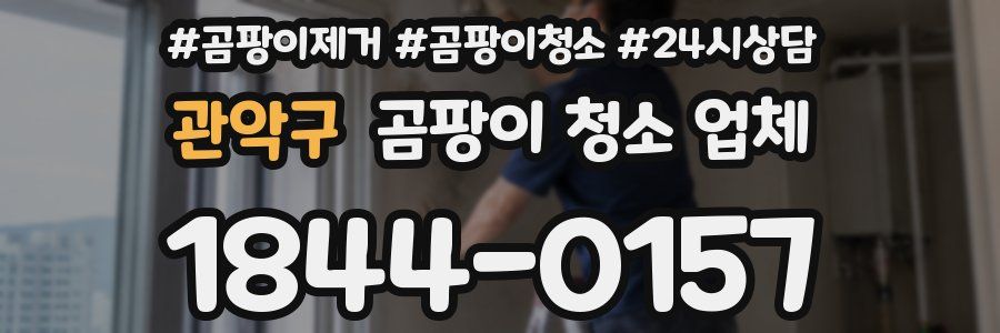 관악구 곰팡이 청소 업체