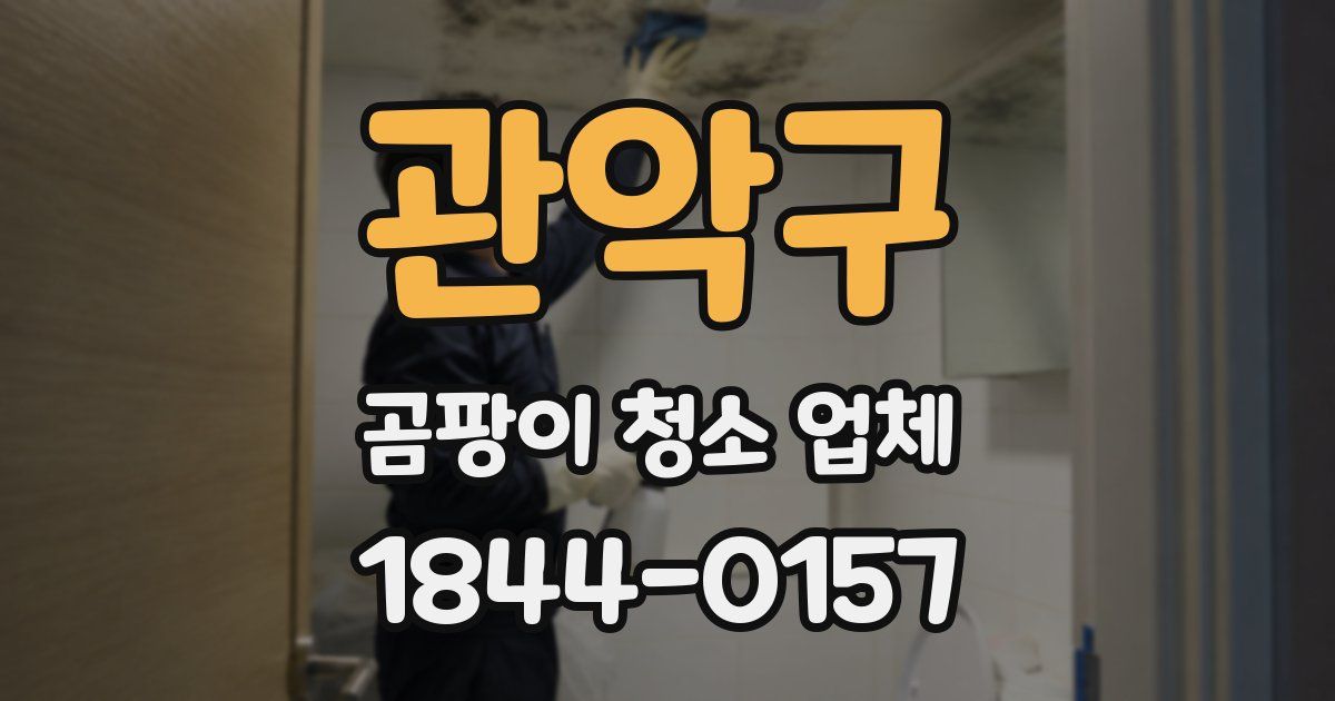관악구 곰팡이 청소 업체