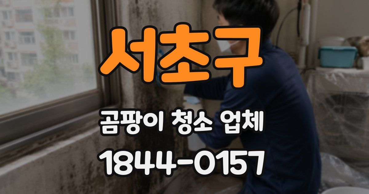 서초구 곰팡이 청소 업체
