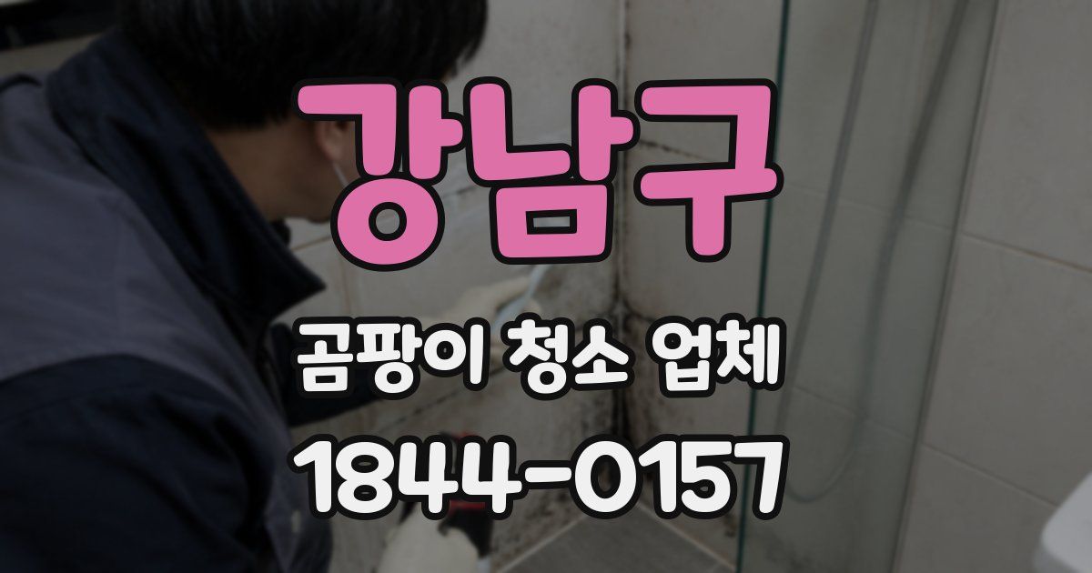 강남구 곰팡이 청소 업체