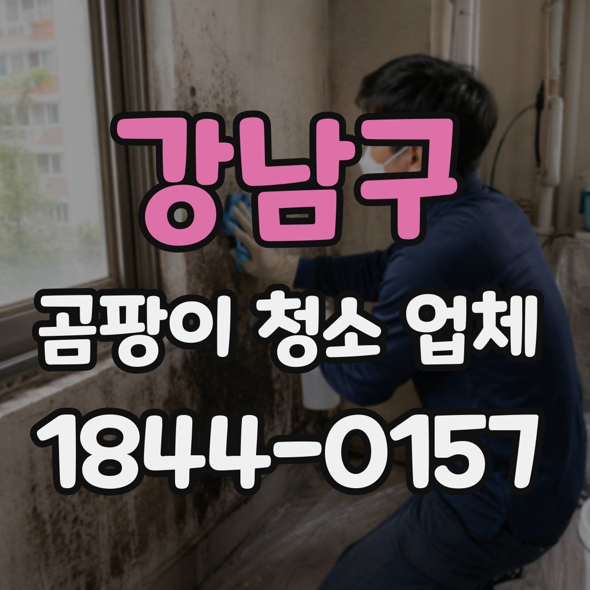 강남구 곰팡이 청소 업체