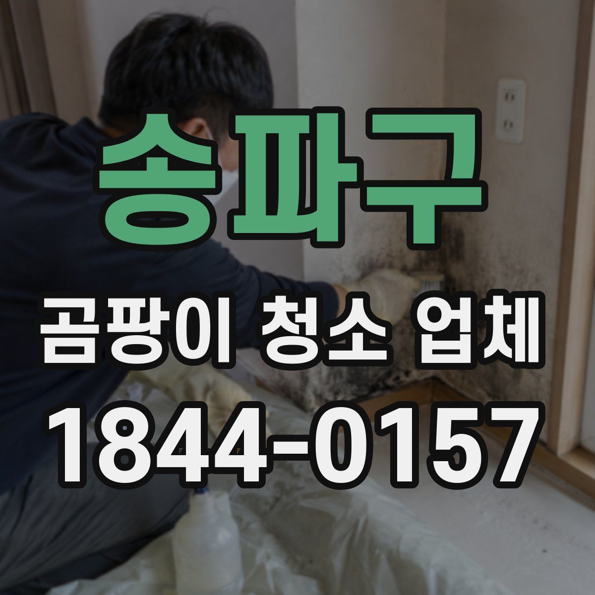송파구 곰팡이 청소 업체