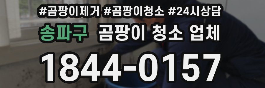 송파구 곰팡이 청소 업체