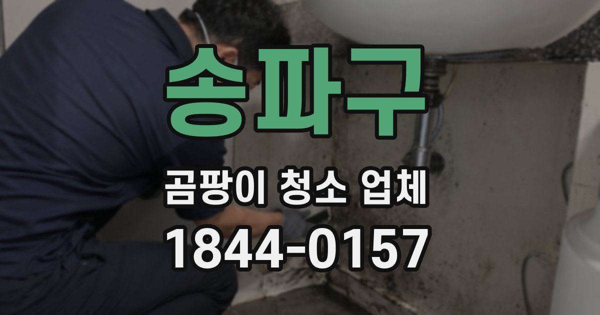 송파구 곰팡이 청소 업체