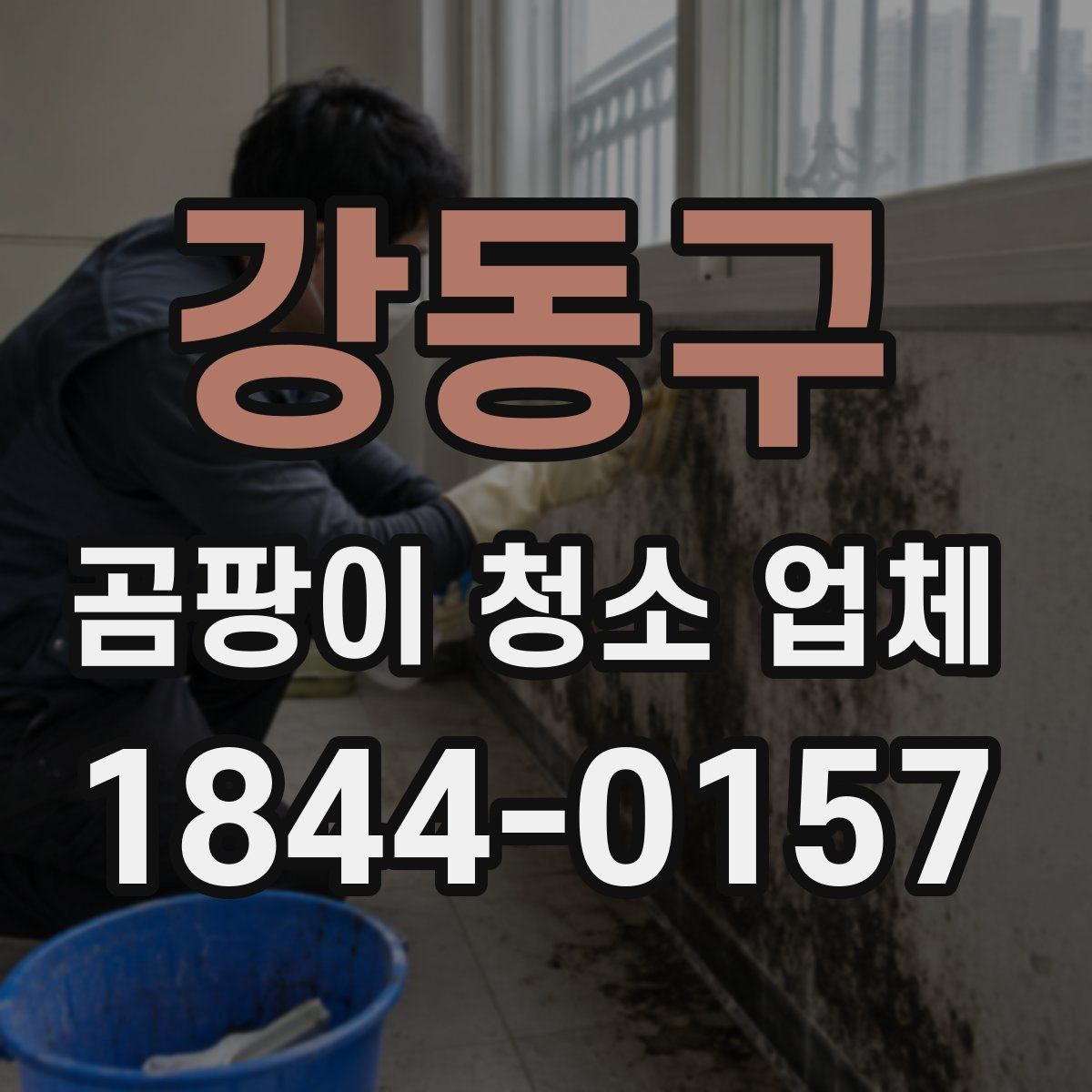 강동구 곰팡이 청소 업체