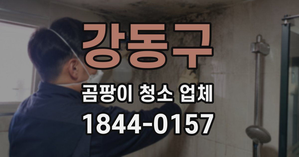 강동구 곰팡이 청소 업체