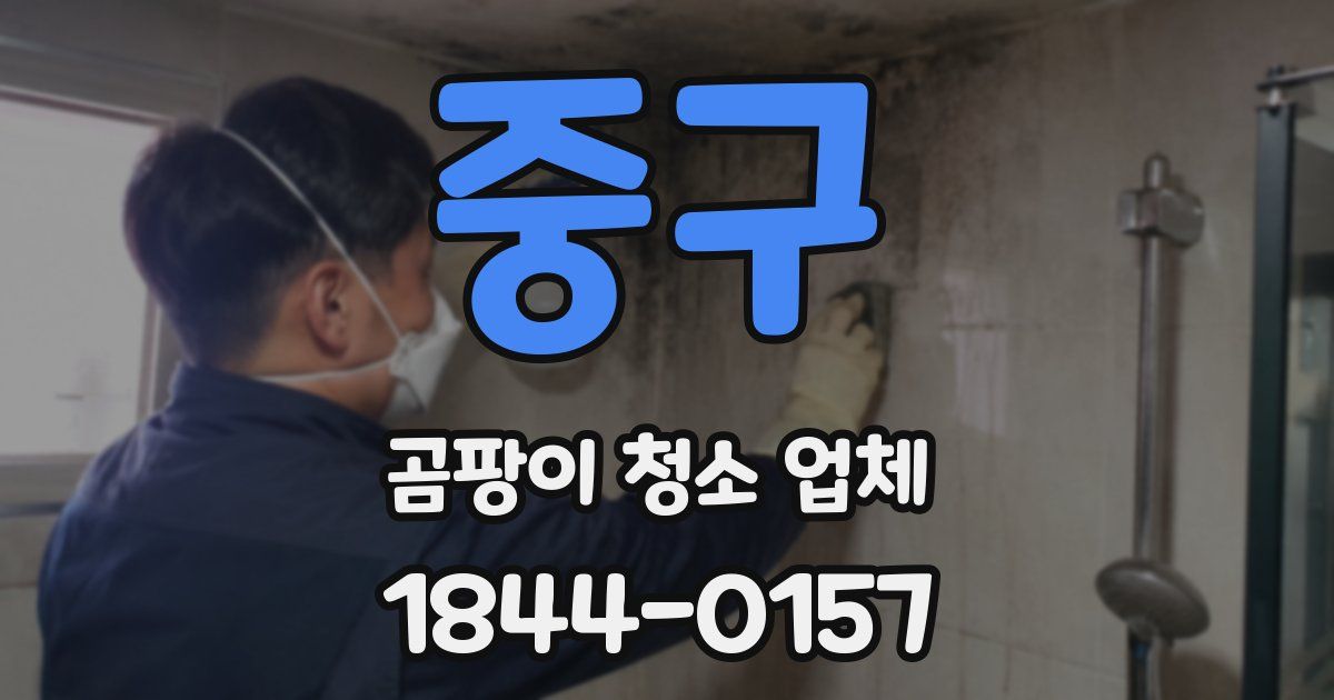 중구 곰팡이 청소 업체