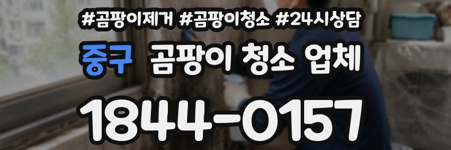 중구 곰팡이 청소 업체