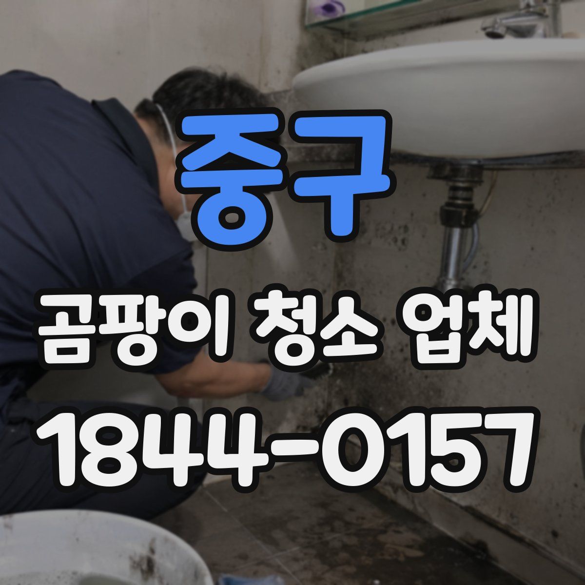 중구 곰팡이 청소 업체