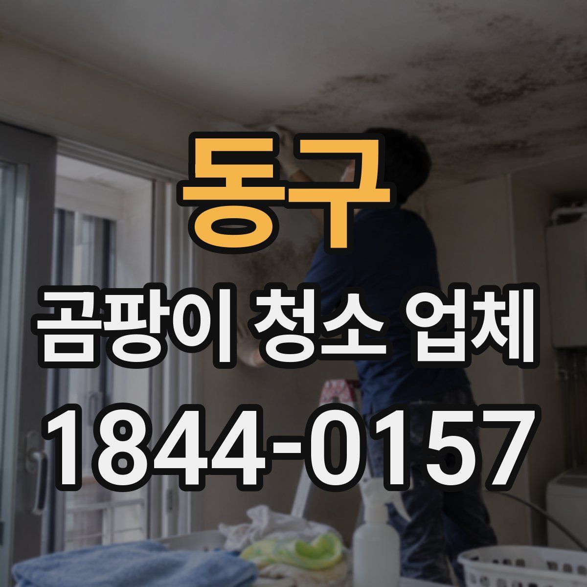 동구 곰팡이 청소 업체