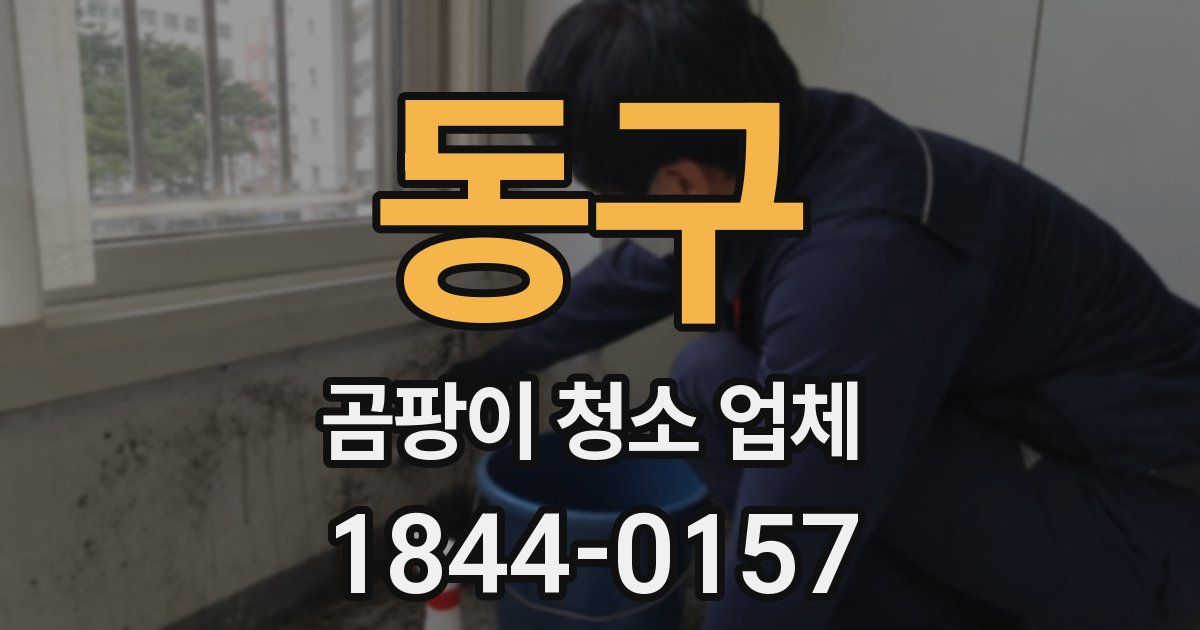 동구 곰팡이 청소 업체