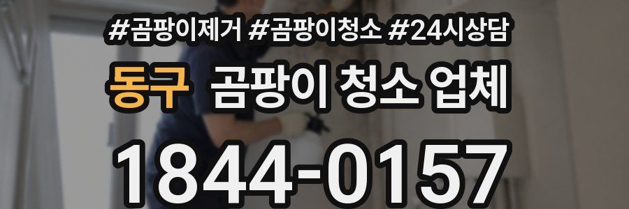 동구 곰팡이 청소 업체