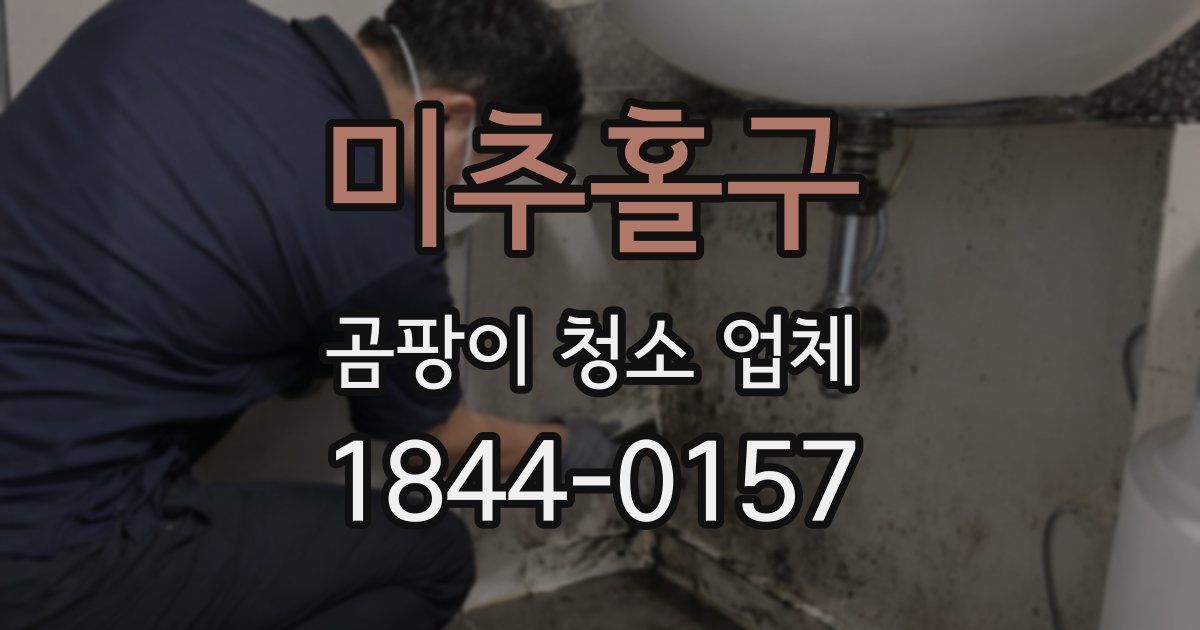 미추홀구 곰팡이 청소 업체