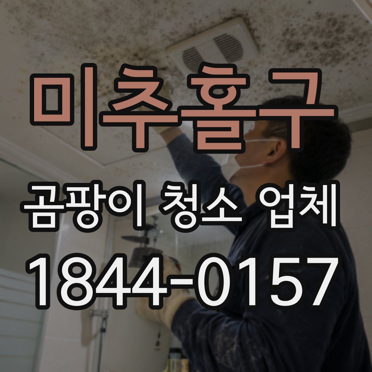 미추홀구 곰팡이 청소 업체