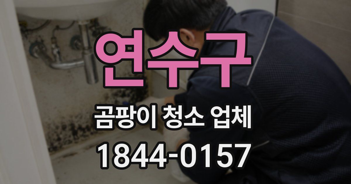 연수구 곰팡이 청소 업체