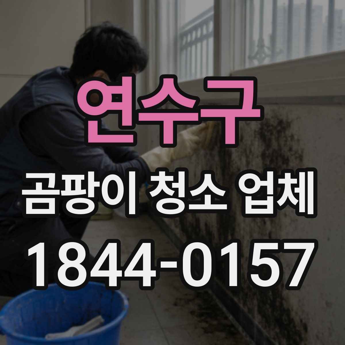 연수구 곰팡이 청소 업체