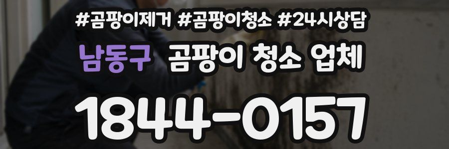 남동구 곰팡이 청소 업체