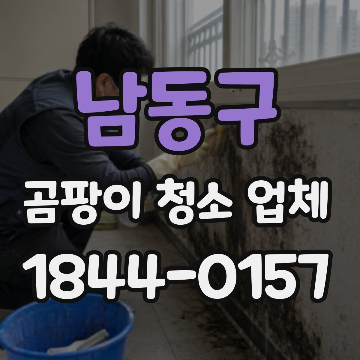 남동구 곰팡이 청소 업체