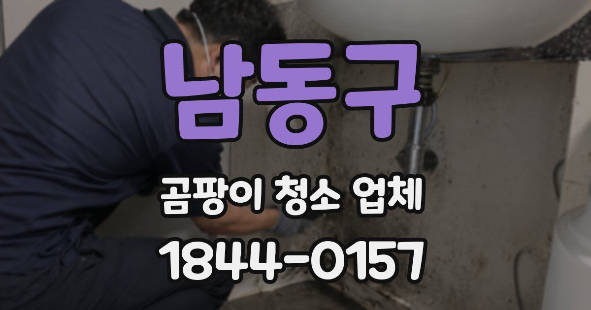 남동구 곰팡이 청소 업체