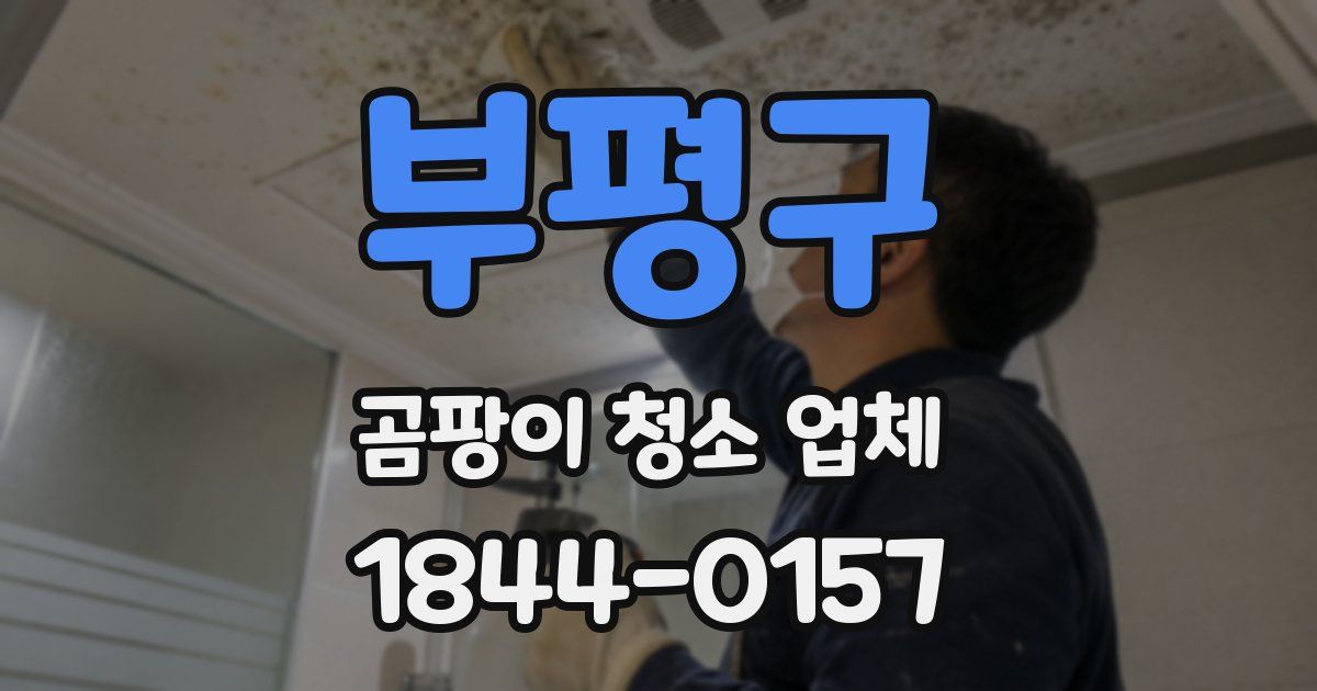 부평구 곰팡이 청소 업체