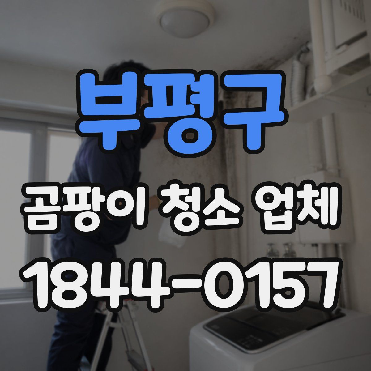 부평구 곰팡이 청소 업체