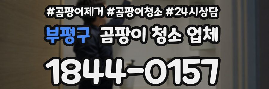 부평구 곰팡이 청소 업체
