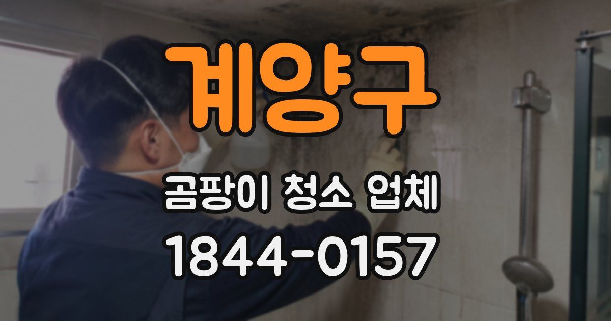 계양구 곰팡이 청소 업체