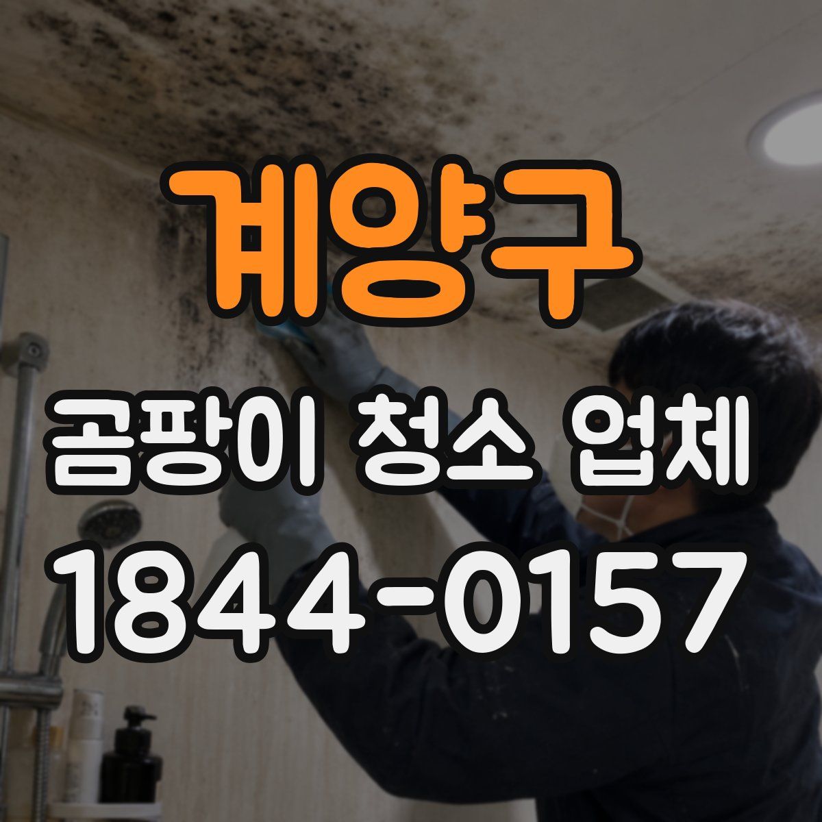 계양구 곰팡이 청소 업체