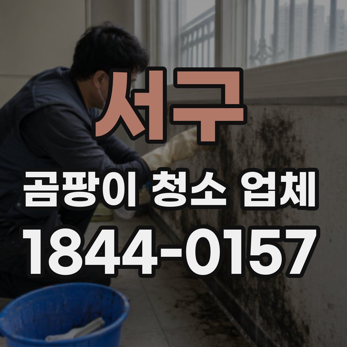 서구 곰팡이 청소 업체 작업 전 사진으로 확인하는 현장 상태